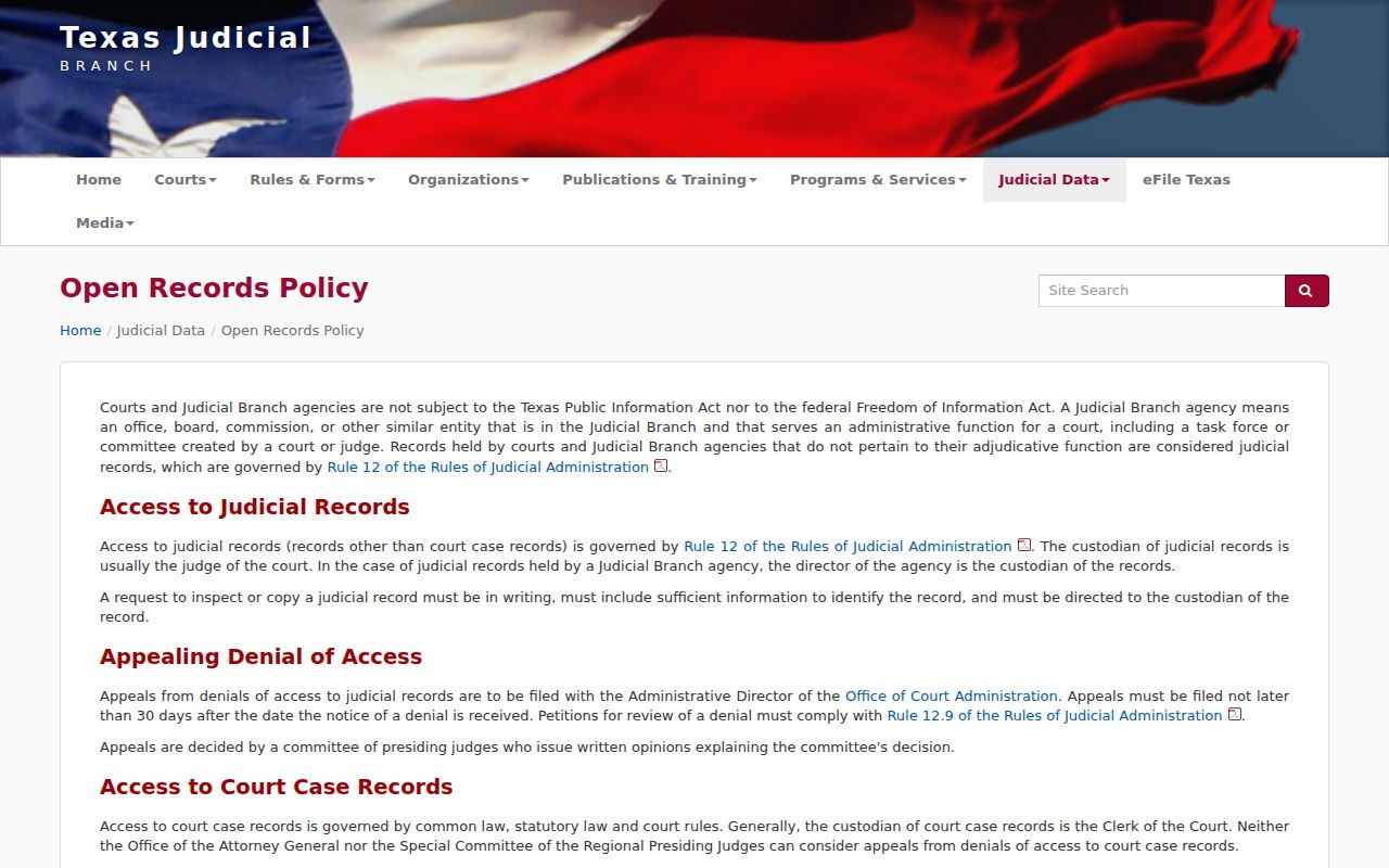Texas arrest warrant records and judicial access policy